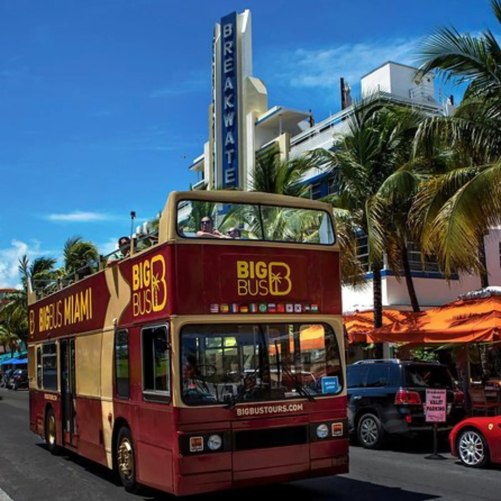 Big Bus Tour